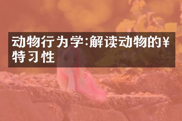 动物行为学:解读动物的奇特习性