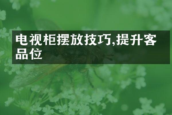电视柜摆放技巧,提升客厅品位