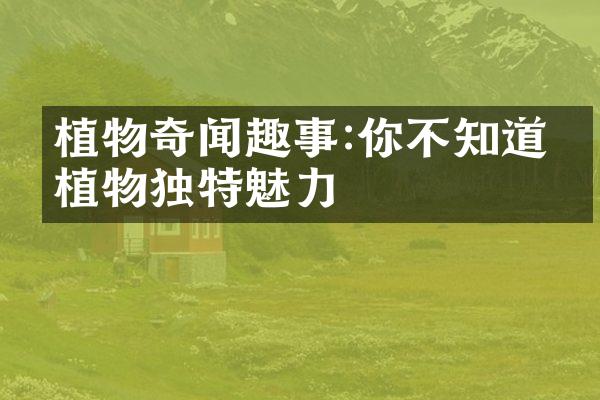 植物奇闻趣事:你不知道的植物独特魅力