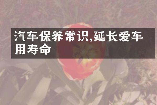 汽车保养常识,延长爱车使用寿命