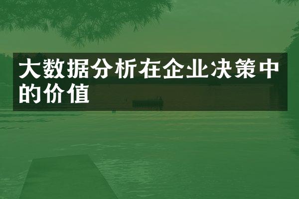 大数据分析在企业决策中的价值