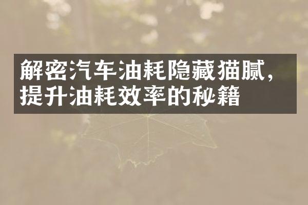 解密汽车油耗隐藏猫腻，提升油耗效率的秘籍