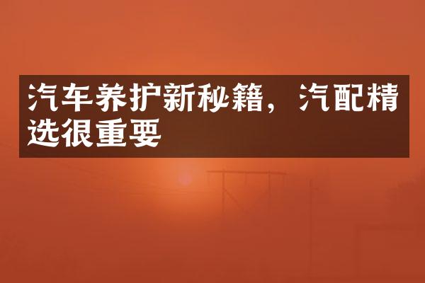 汽车养护新秘籍，汽配精选很重要