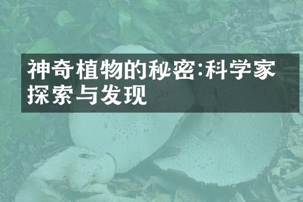 神奇植物的秘密:科学家的探索与发现
