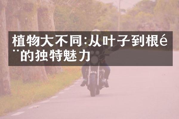 植物大不同:从叶子到根部的独特魅力