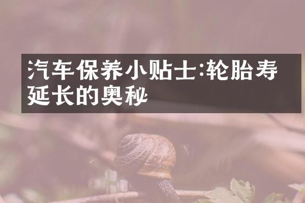 汽车保养小贴士:轮胎寿命延长的奥秘