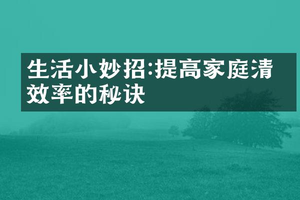 生活小妙招:提高家庭清洁效率的秘诀