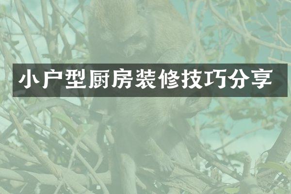 小户型厨房装修技巧分享