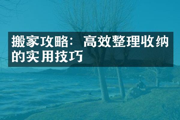 搬家攻略：高效整理收纳的实用技巧