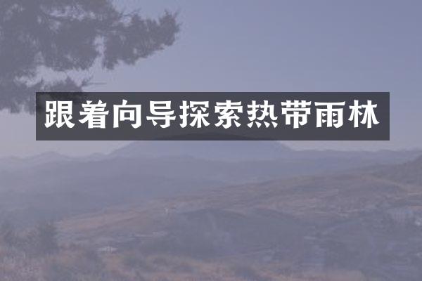 跟着向导探索热带雨林