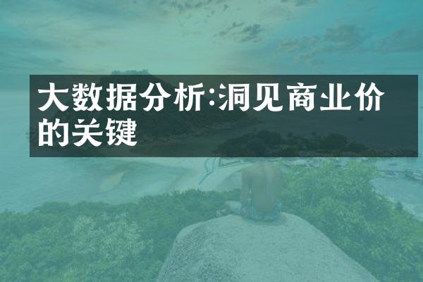 大数据分析:洞见商业价值的关键