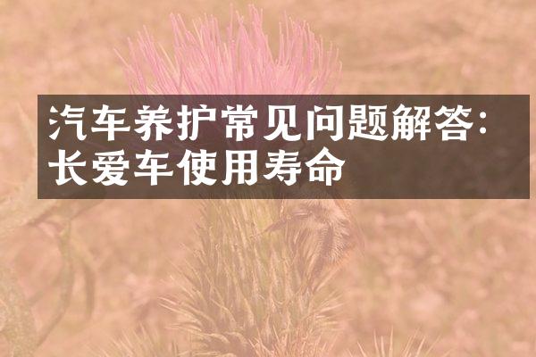 汽车养护常见问题解答:延长爱车使用寿命
