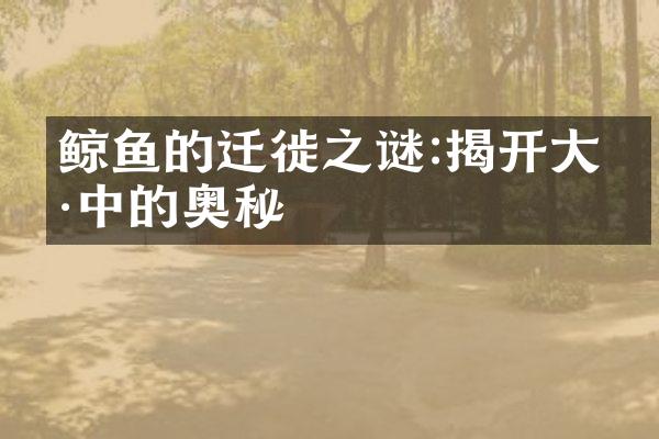 鲸鱼的迁徙之谜:揭开大海中的奥秘