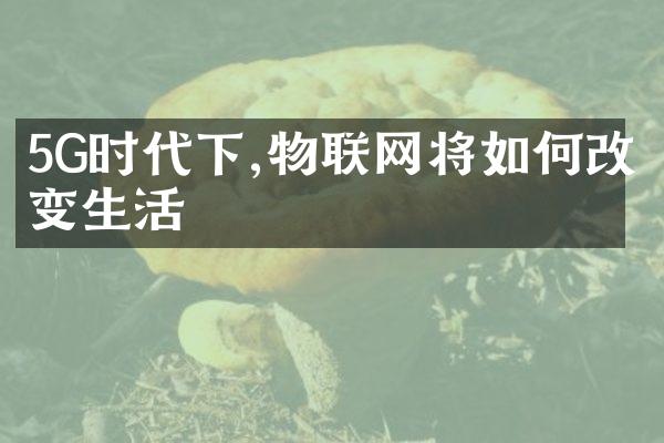 5G时代下,物联网将如何改变生活