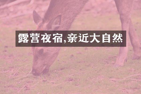 露营夜宿,亲近大自然