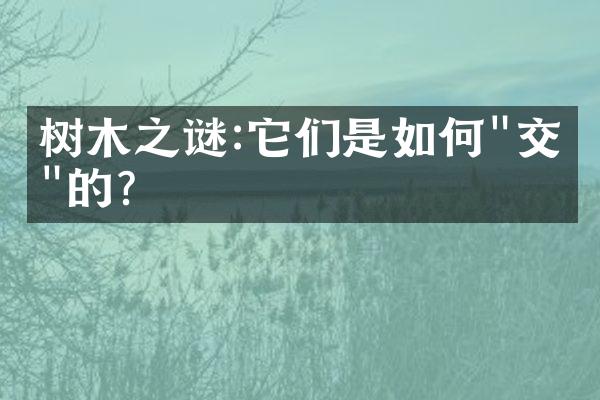 树木之谜:它们是如何"交流"的?