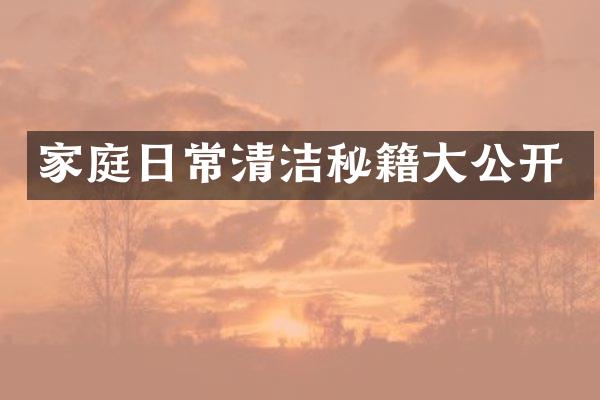 家庭日常清洁秘籍大公开