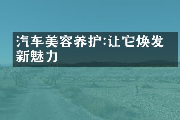 汽车美容养护:让它焕发崭新魅力