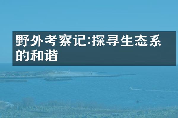 野外考察记:探寻生态系统的和谐