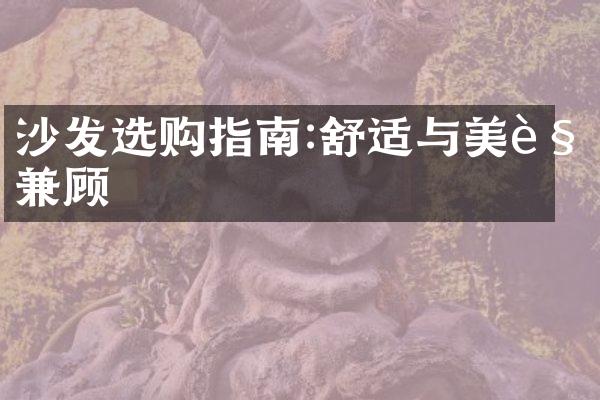 沙发选购指南:舒适与美观兼顾