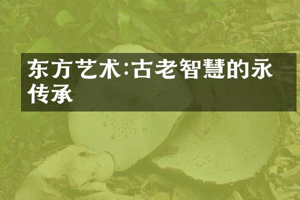 东方艺术:古老智慧的永恒传承