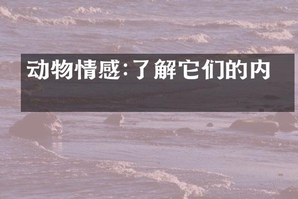 动物情感:了解它们的内心