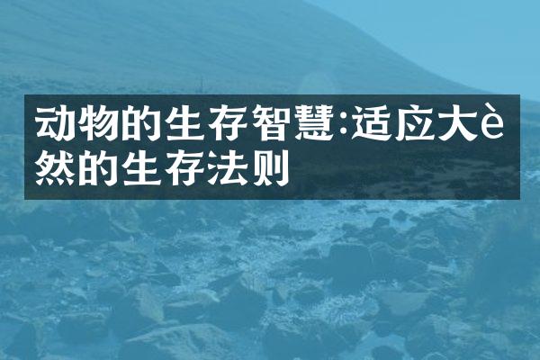动物的生存智慧:适应大自然的生存法则