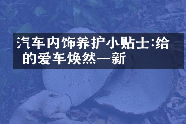汽车内饰养护小贴士:给你的爱车焕然一新