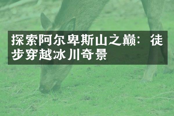探索阿尔卑斯山之巅：徒步穿越冰川奇景