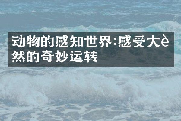 动物的感知世界:感受大自然的奇妙运转