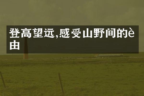登高望远,感受山野间的自由