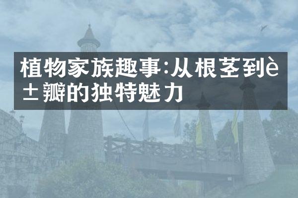 植物家族趣事:从根茎到花瓣的独特魅力