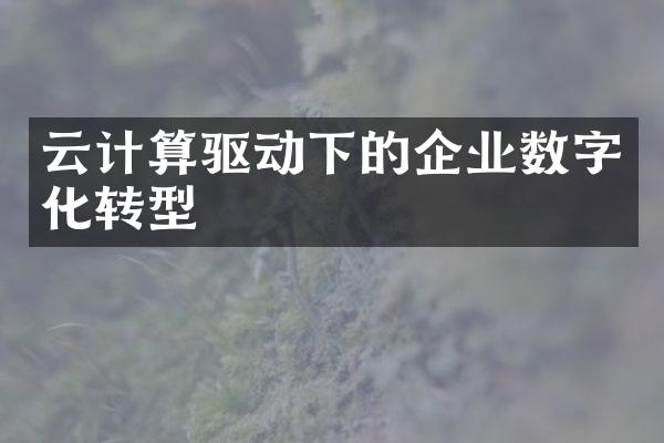 云计算驱动下的企业数字化转型
