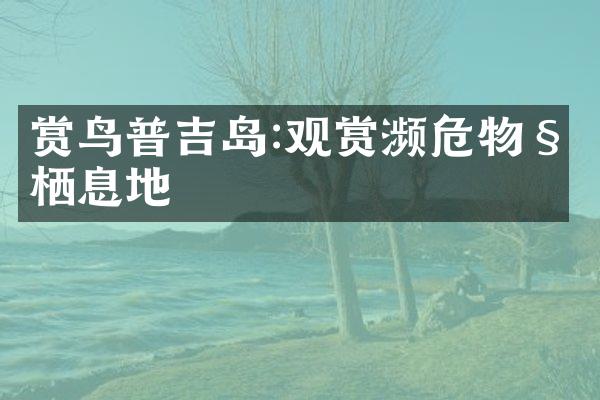 赏鸟普吉岛:观赏濒危物种栖息地