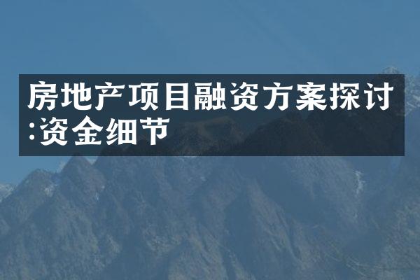 房地产项目融资方案探讨:资金细节
