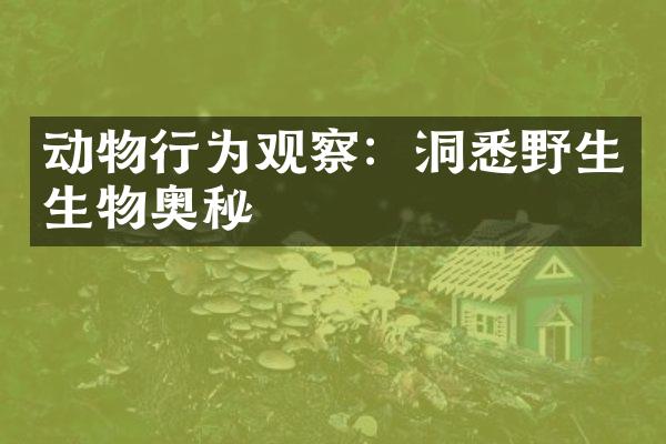 动物行为观察：洞悉野生生物奥秘