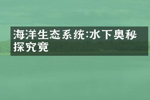海洋生态系统:水下奥秘一探究竟