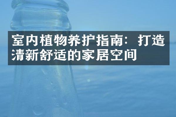 室内植物养护指南：打造清新舒适的家居空间