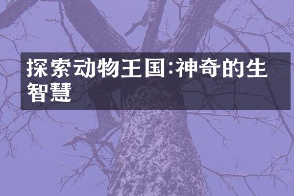 探索动物王国:神奇的生存智慧