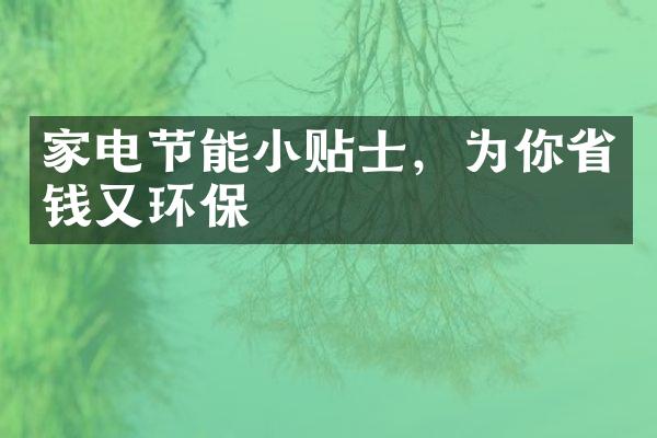 家电节能小贴士，为你省钱又环保