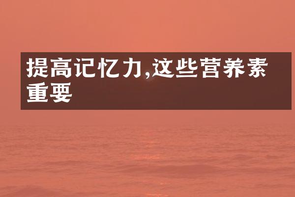 提高记忆力,这些营养素很重要