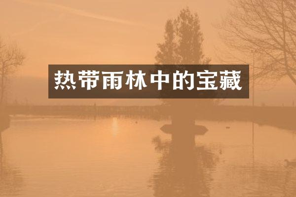 热带雨林中的宝藏