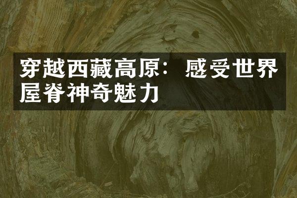穿越西藏高原：感受世界屋脊神奇魅力