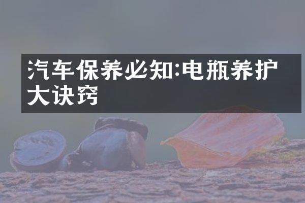 汽车保养必知:电瓶养护五大诀窍