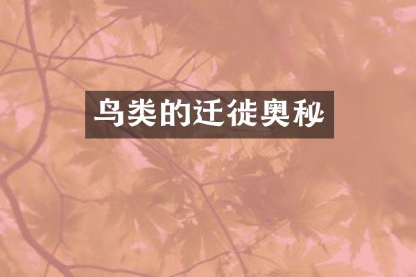 鸟类的迁徙奥秘