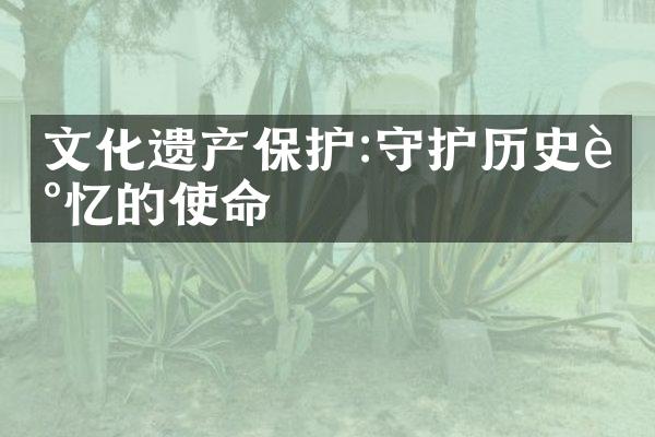 文化遗产保护:守护历史记忆的使命
