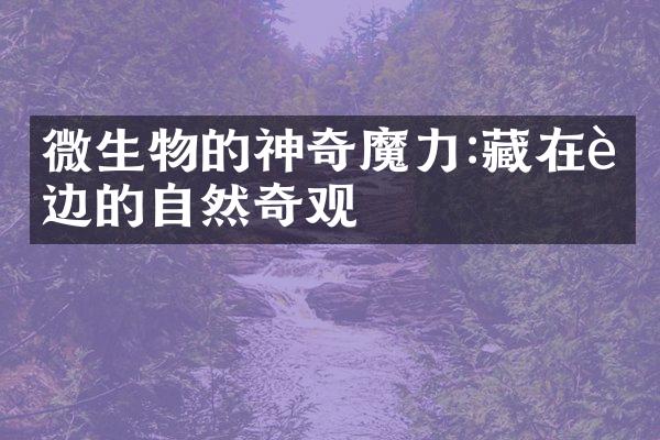 微生物的神奇魔力:藏在身边的自然奇观