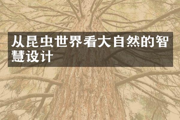 从昆虫世界看大自然的智慧设计