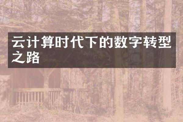 云计算时代下的数字转型之路