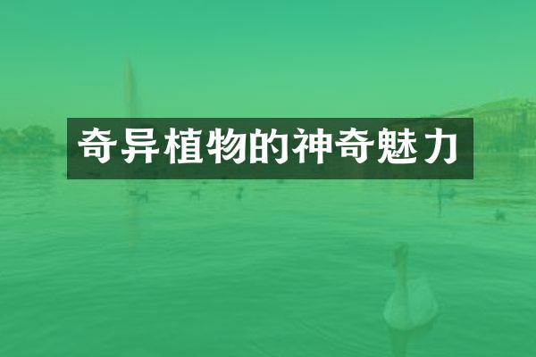 奇异植物的神奇魅力